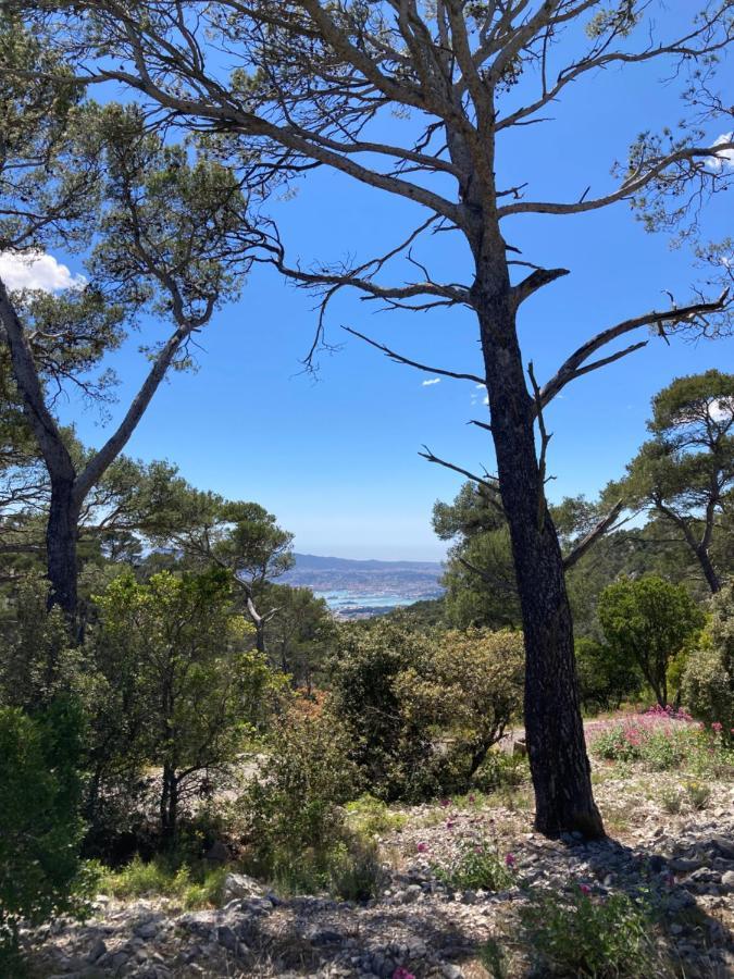L'Appartement De Gaston Les Sablettes Kültér fotó