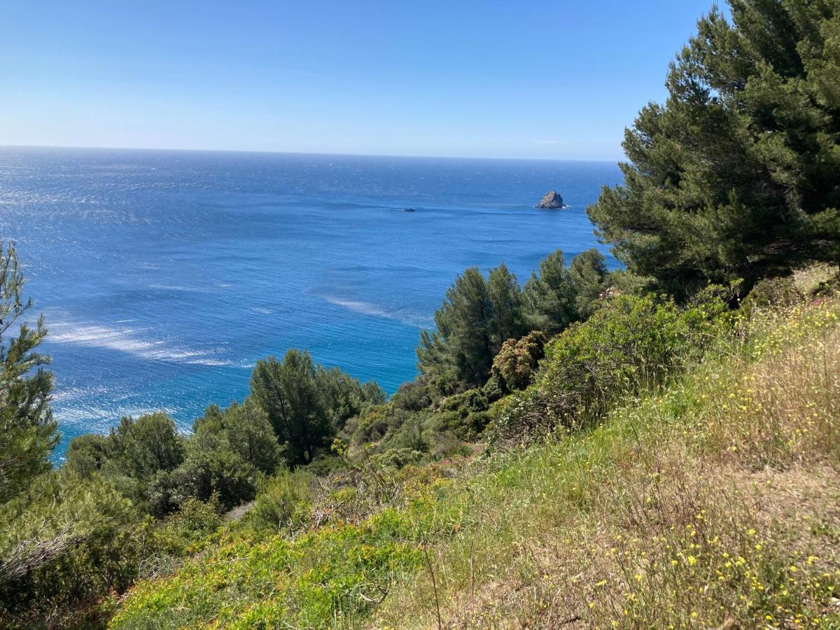 L'Appartement De Gaston Les Sablettes Kültér fotó